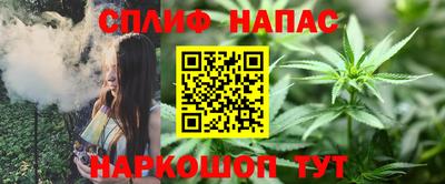 ALPHA PVP Пугачёв