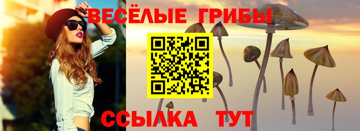 Новодвинск  Галлюциногенные грибы Magic Shrooms  Вход с VPN  Галлюциногенные грибы GOLDEN TEACHER 